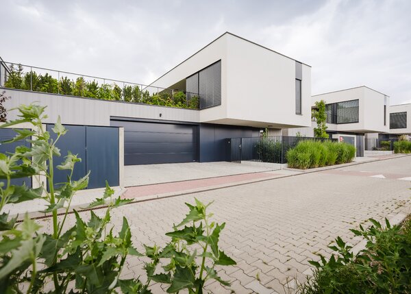 Zátiší 2 Housličky Zátiší 2 Housličky